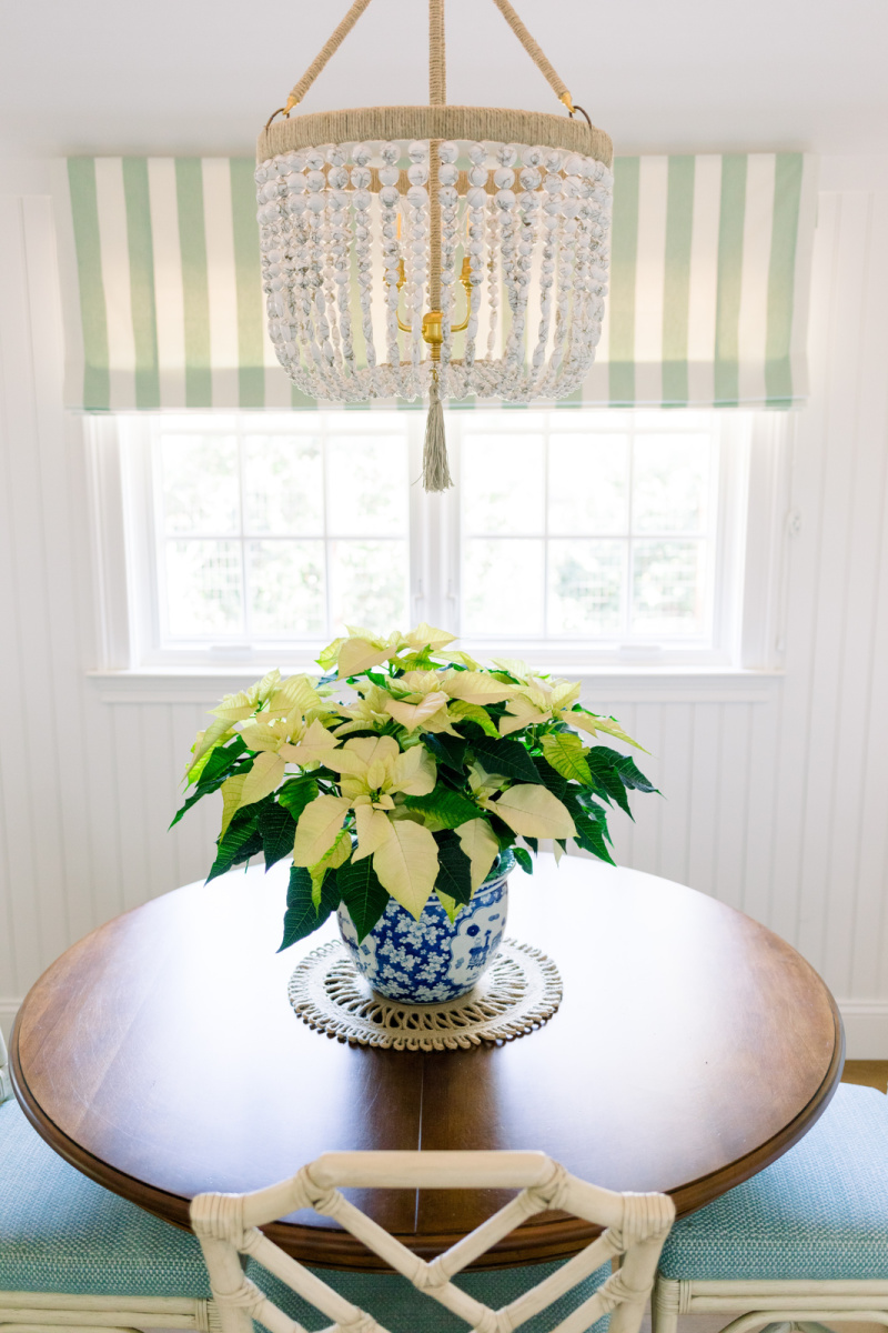 Dining table with poinsettia in blue and white planter