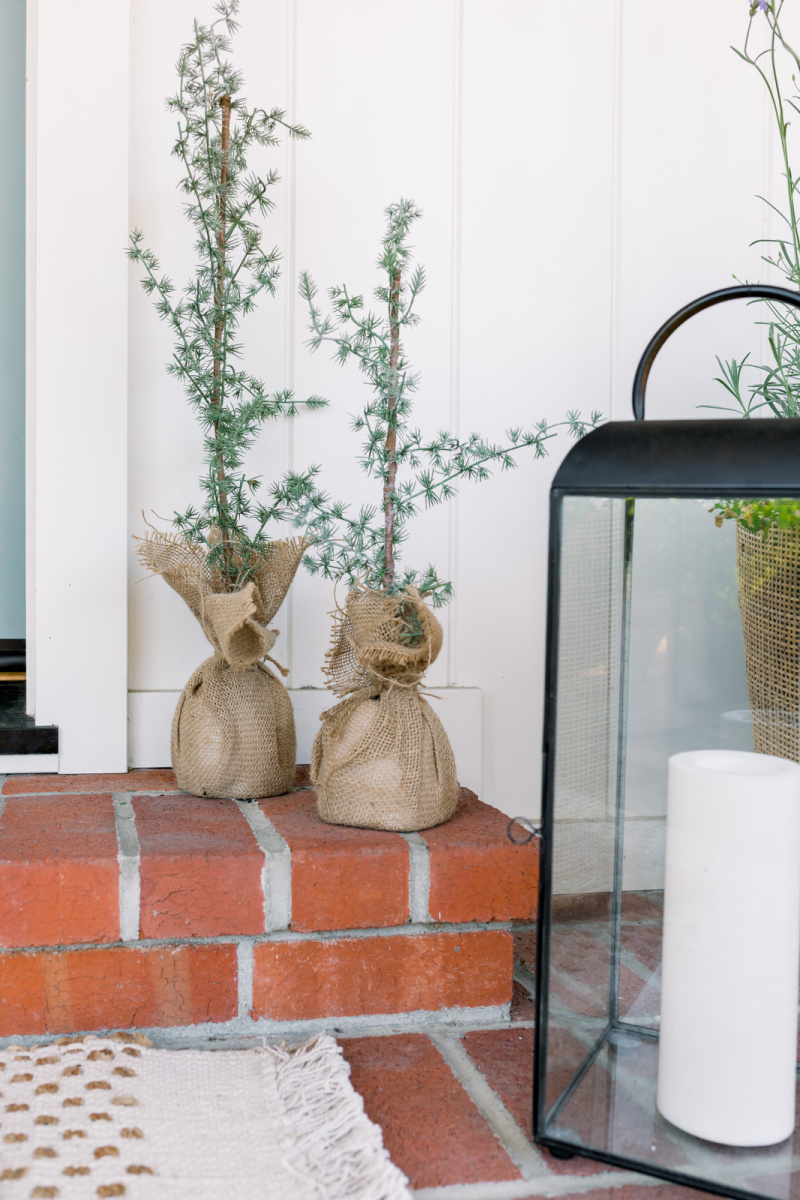 Burlap Christmas trees and lantern on front porch