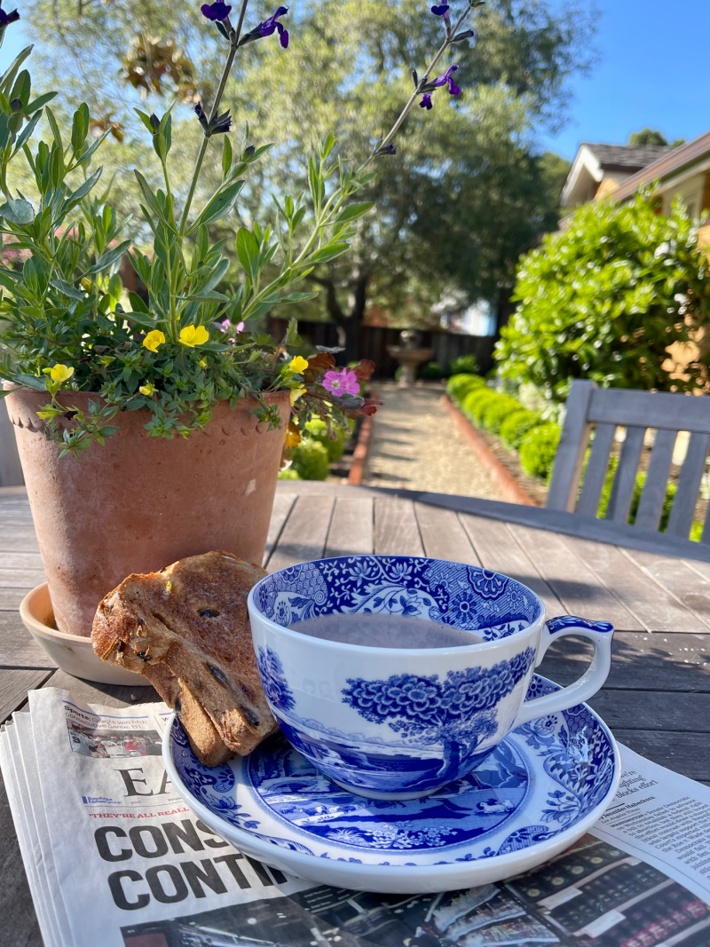 Teacup and saucer with toast on table in garden