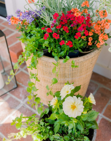 Basket and pot of flowers