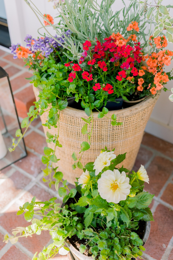 Basket and pot of flowers