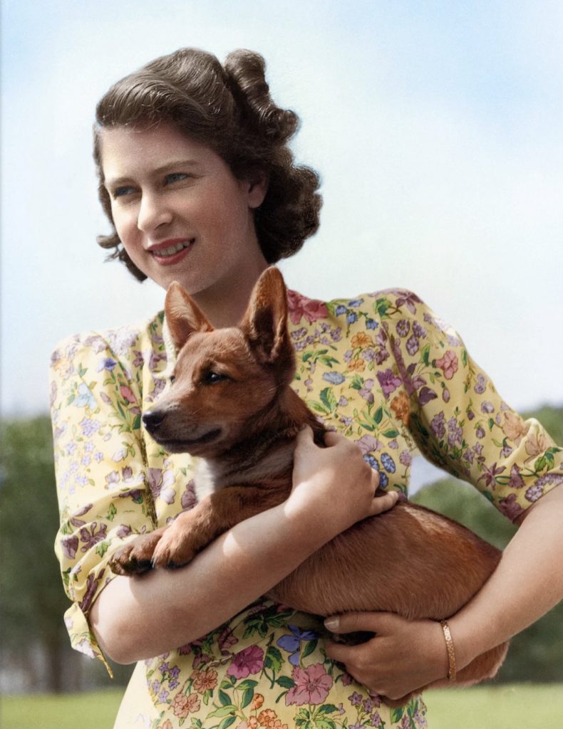 Young Queen Elizabeth II and dog