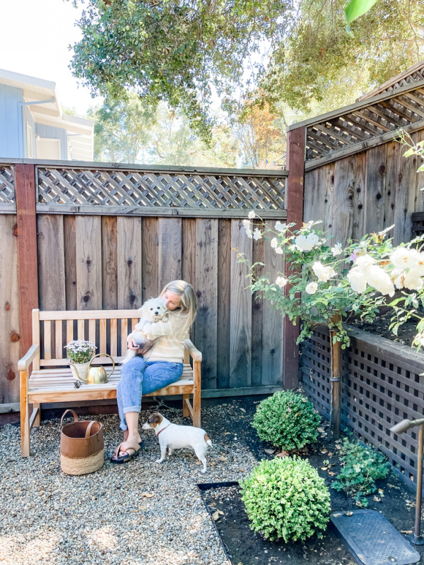 woman holding dog on garden bench. 