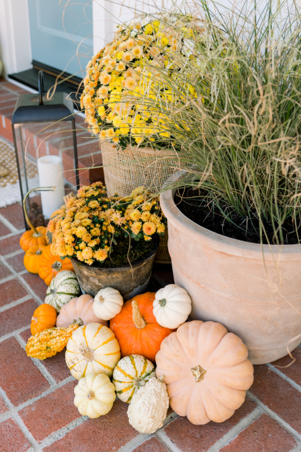 Front porch decorated with pumpkins and mums.