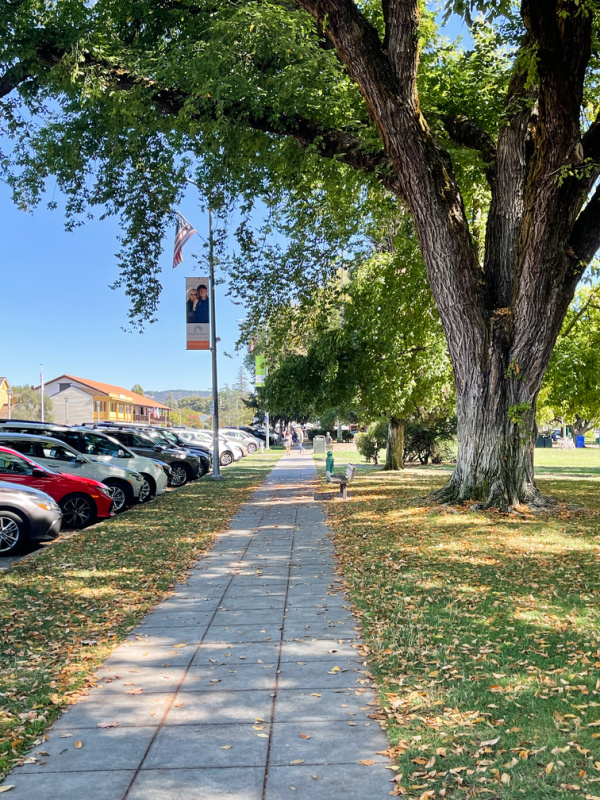 Sonoma Plaza on a fall day.