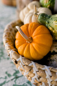 Basket of mini pumpkins and gourds.