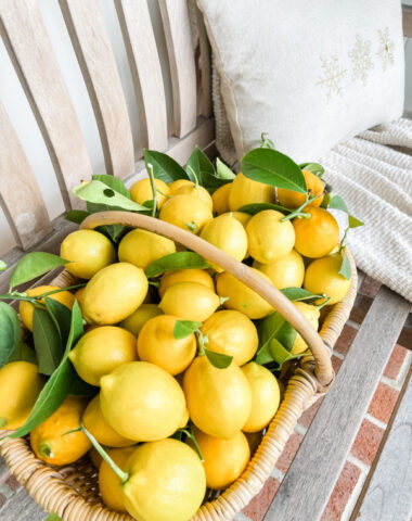 Basket of Meyer lemons sitting on bench.
