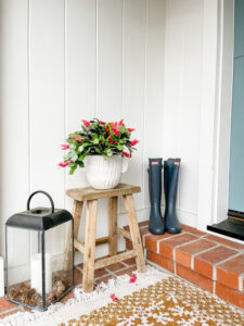 Hunter Boots on doorstep next to Christmas cactus and lantern.