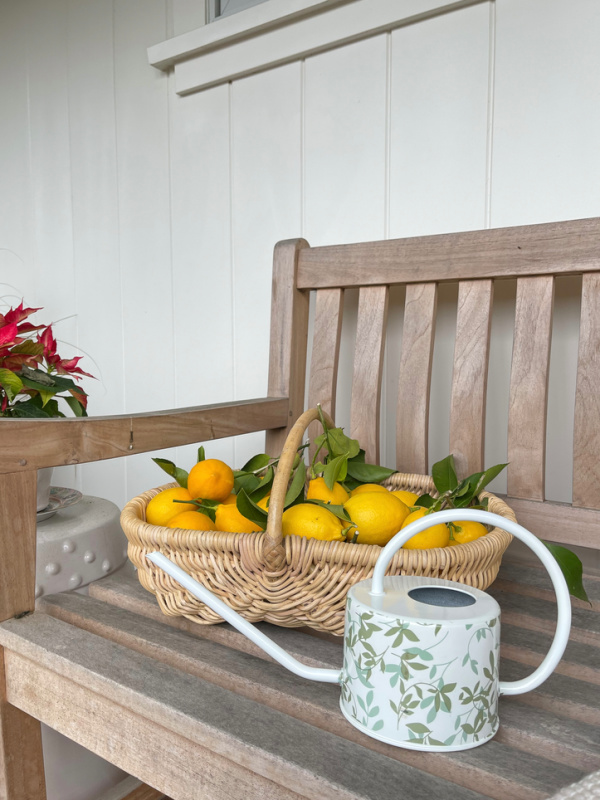 Green and white watering can on bench next to basket of lemons.