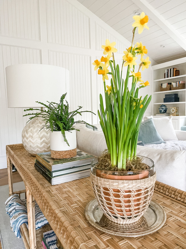 Daffodils in woven bowl on pretty console.