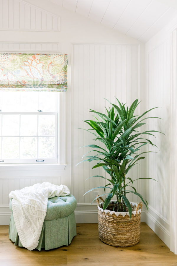 Plant in basket next to ottoman with throw.