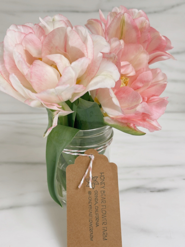 Pink tulips in canning jar.