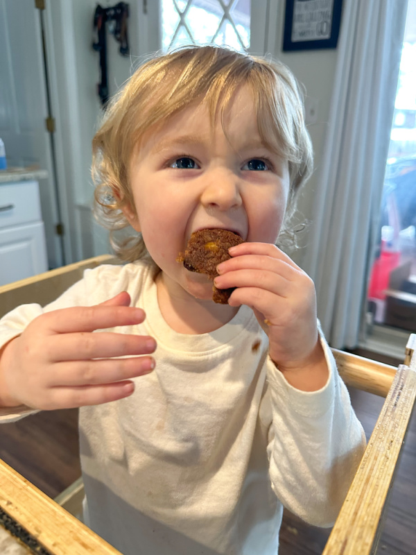 Toddler in highchair eating muffin.