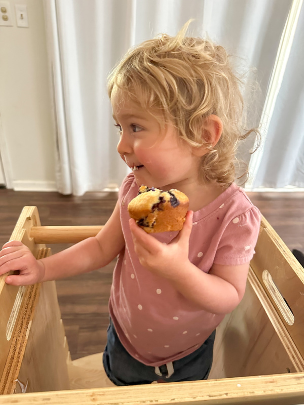 Toddler with blueberry muffin.