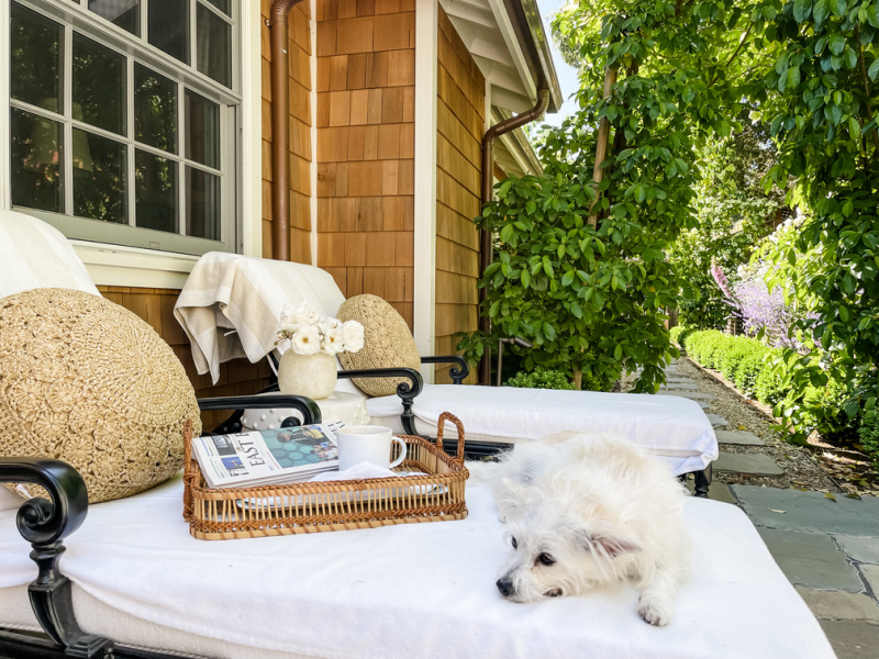 Little white dog laying on chaise lounge next to tray and woven pillow.