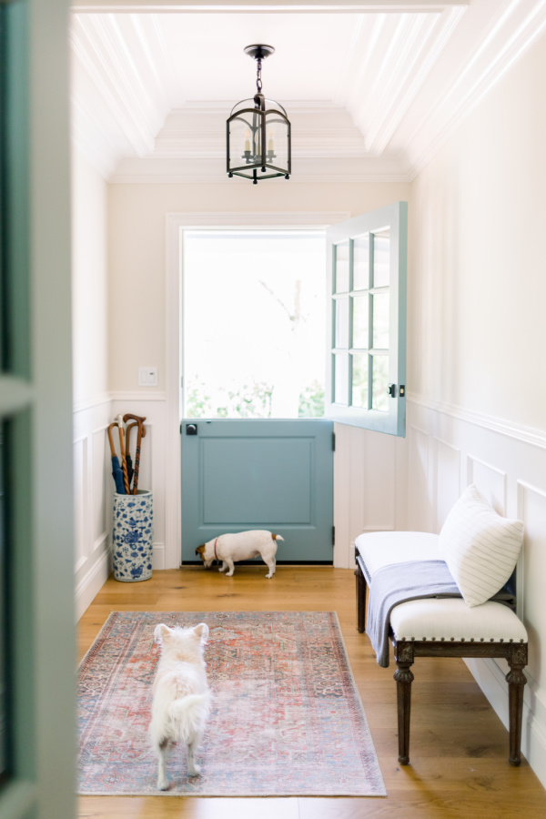 Two little dogs in small foyer with dutch door open.