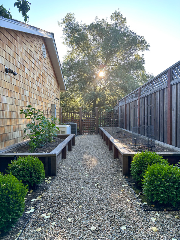 Photo of raised bed garden boxes.