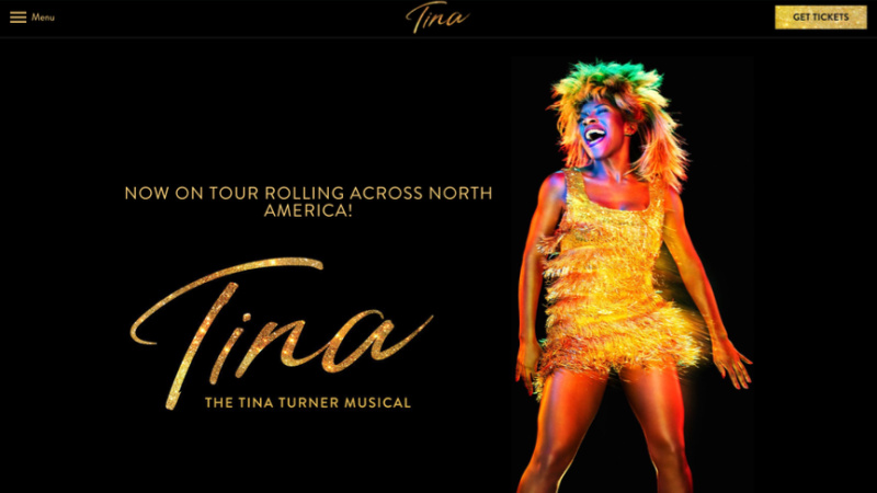 Tina Turner Musical tour photo.