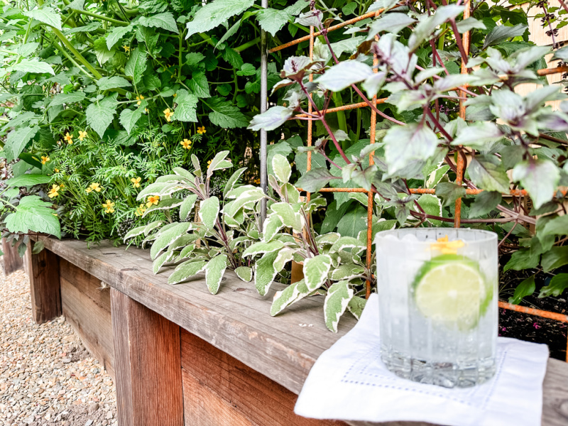 Gin & Tonic cocktail sitting on garden raised bed ledge.