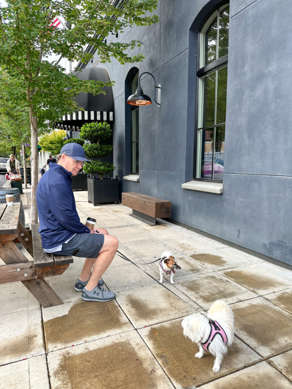Man and his two dogs sitting on bench in downtown McMinnville, OR.
