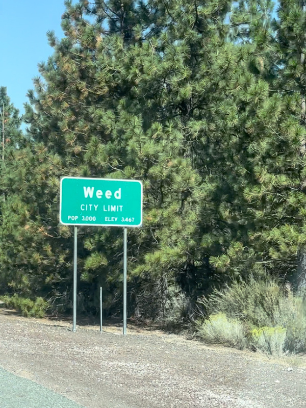 Weed, California road sign.
