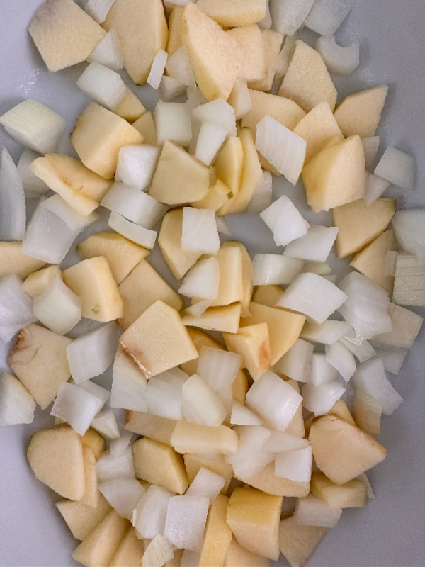 Apple and onion slices in baking dish.