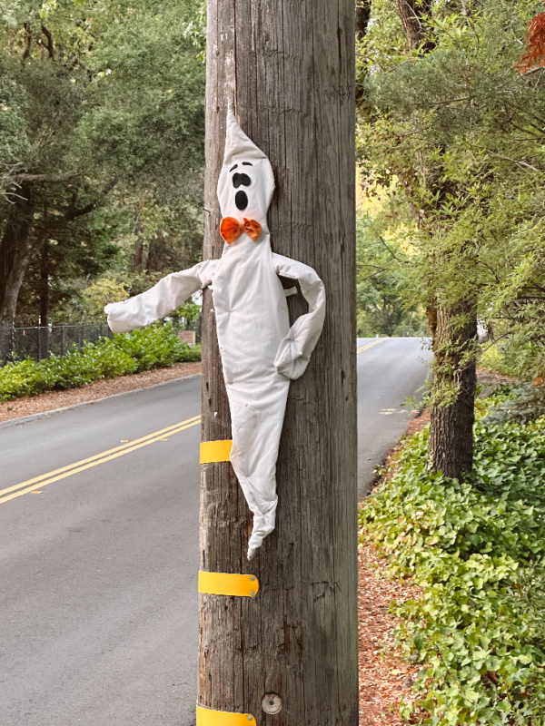 Friendly ghost on telephone pole in Sleepy Hollow neighborhood.