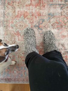 Woman wearing Bomba gripper socks with little dog looking on.