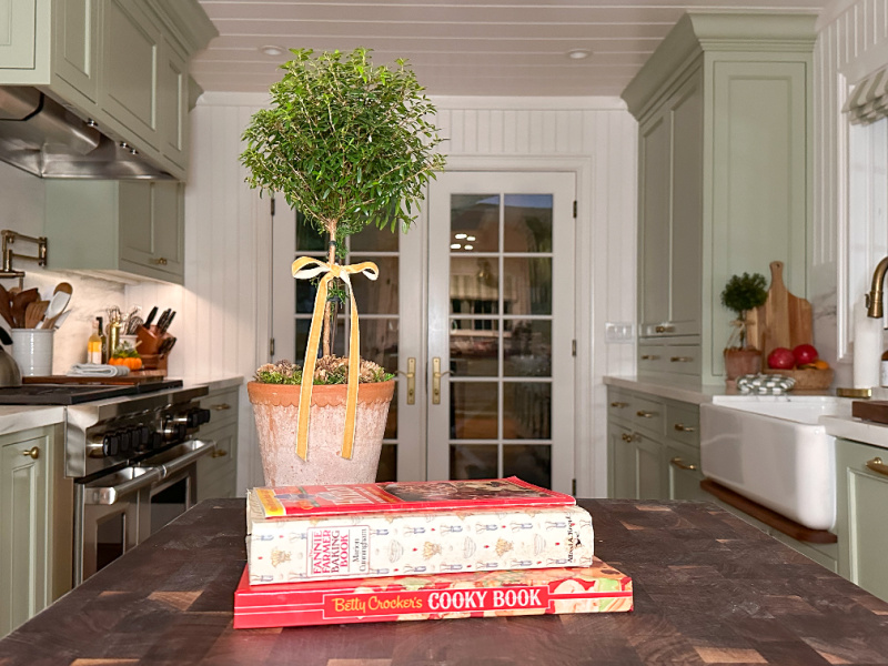 Cook books sitting on butcher block kitchen island next to topiary.