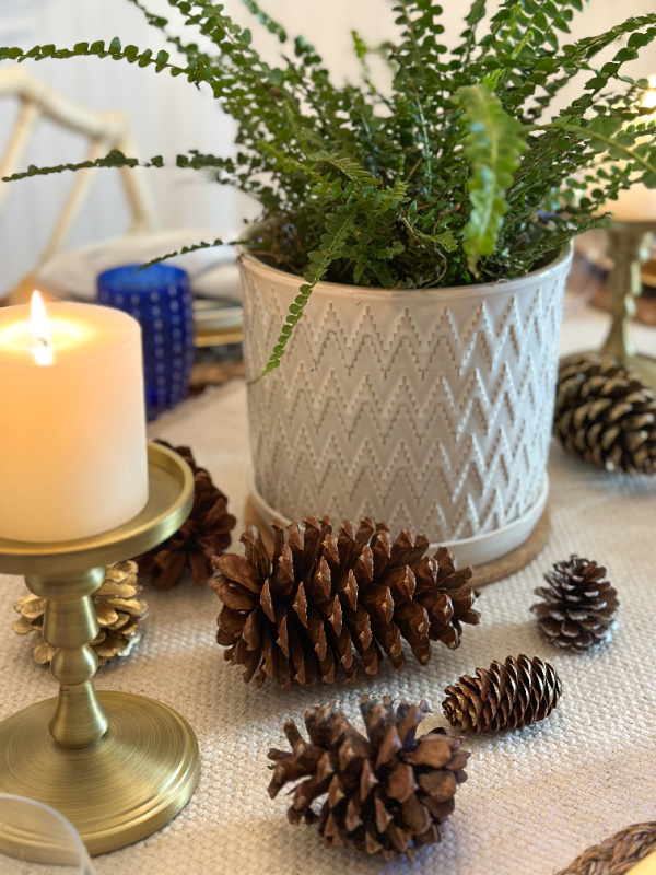 Holiday table setting with candles and pinecones.