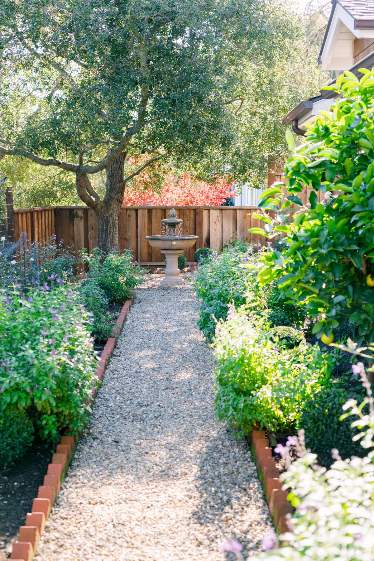 Gravel path surrounded by garden plants and bird bath fountain at end of path.