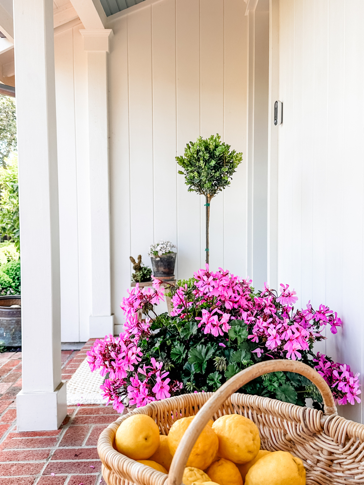 Front porch entry with pink geraniums, basket of lemons and a boxwood topiary.