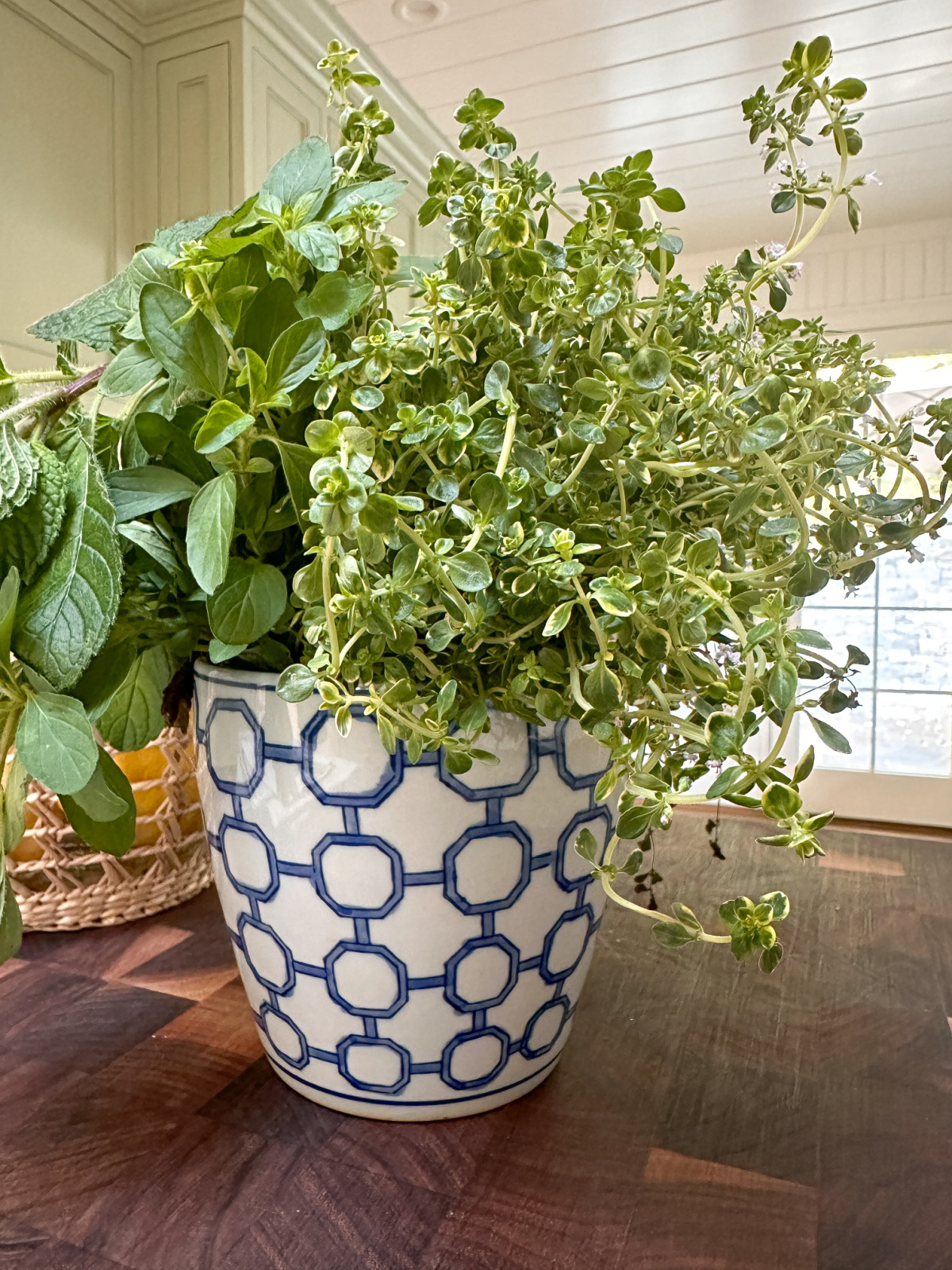 Blue and white planter filled with herbs.