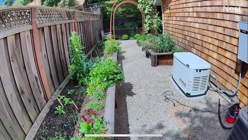 Nest camera view of raised bed garden area.