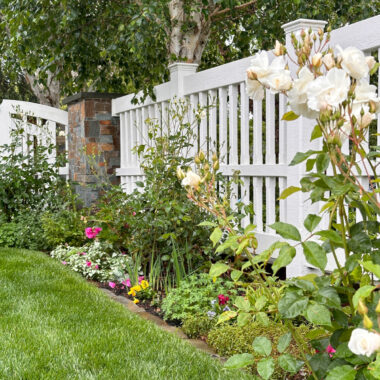 Colorful garden border next to lush lawn and white picket fence.